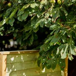 PLUS KLINK PROFILHEGN TRYKIMPR. 174X129CM -Haveindretning Butik 2161749 1881647 2