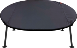 FATBOY NETORIOUS COVER