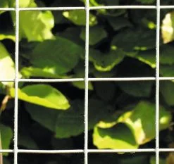 Hortus NSH HAVEHEGN GALV. 10X10X60CM 25M -Haveindretning Butik 65910 5018803 NSH2520HAVEHEGN2520GALV.252010X10X60CM